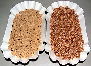 Archivo:Amaranth und WW