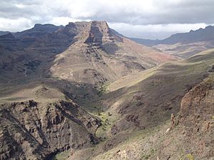 Archivo:BergweltGranCanarias2