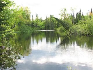 Bonnechere River.jpg