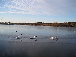 Archivo:Brent Reservoir from Neasden Recreation Ground