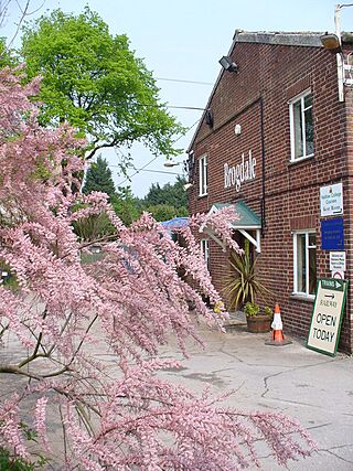 Brogdale - geograph.org.uk - 418946.jpg