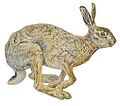 Bruno Liljefors - Hare studies 1885 white background