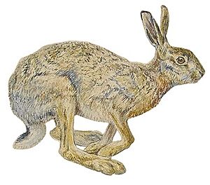 Archivo:Bruno Liljefors - Hare studies 1885 white background