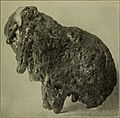 Bulletin of the Geological Society of America (1922) (20262300128)
