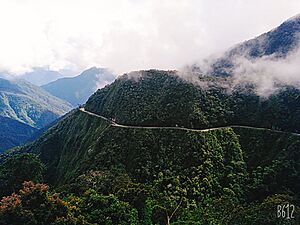 Archivo:Camino de la Muerte - Coroico