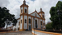 Archivo:Catedral Metropolitana de Manaus (Igreja Matriz)