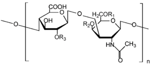 Archivo:Chondroitin Sulfate Structure NTP