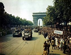 Archivo:Crowds of French patriots line the Champs Elysees