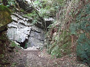 Archivo:Cueva de El Pendo