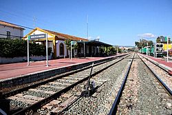 Archivo:Estacion del tren