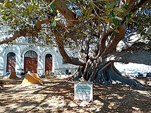 Archivo:Glorieta de Carlos Cano