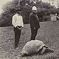 Jonathan-the-tortoise-1900