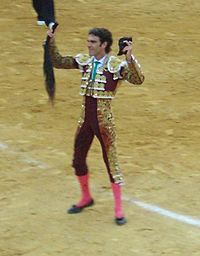 Archivo:José Tomás (Granada 2009)