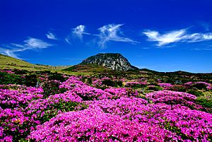 Archivo:KOCIS Halla Mountain in Jeju-do (6387785543)
