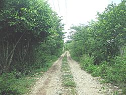 Kampepén (Mérida), Yucatán (03).jpg