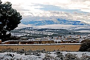Archivo:LaMalahá