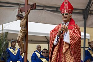 Archivo:Luis Felipe Sánchez Aponte - domingo de ramos 2017