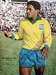 Archivo:MFdSantos-Garrincha