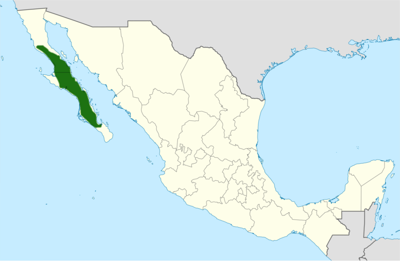 Mammillaria hutchisoniana range map