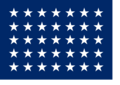 Naval jack of the United States (1863–1865)