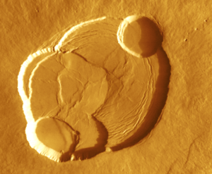 Archivo:Olympus Mons caldeira