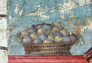 Archivo:Oplontis-Pintures-5643