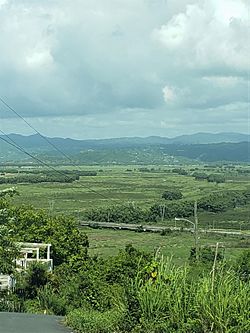 PR-53 from Sector El Gandular in Barrio Playa, Yabucoa, Puerto Rico.jpg