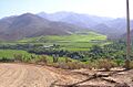 Plantaciones-Monte Patria