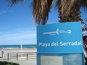 Archivo:Playa del Serradal (Castellón de la Plana)