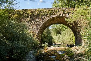 Archivo:Puente de Villanueva de Pontedo sobre el río Torio. León (5)