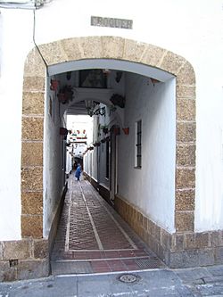 Archivo:San Fernando - Callejón Crocquer
