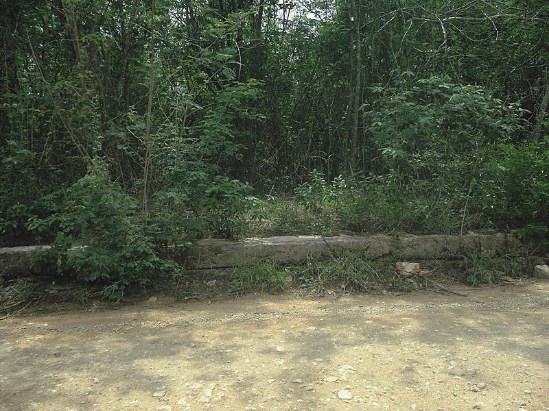 San Isidro (Mérida), Yucatán (04)