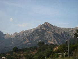 Serra de Son Torrella 2.jpg