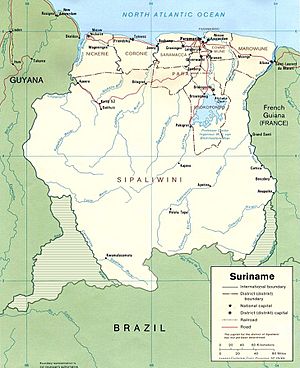 Archivo:Suriname1991 Karte umstrittene Gebiete