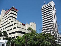 Archivo:TorreIntercor