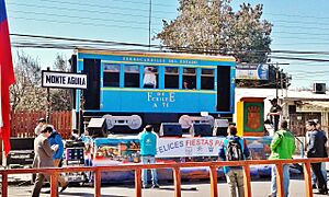 Archivo:Tren desfile mte aguila