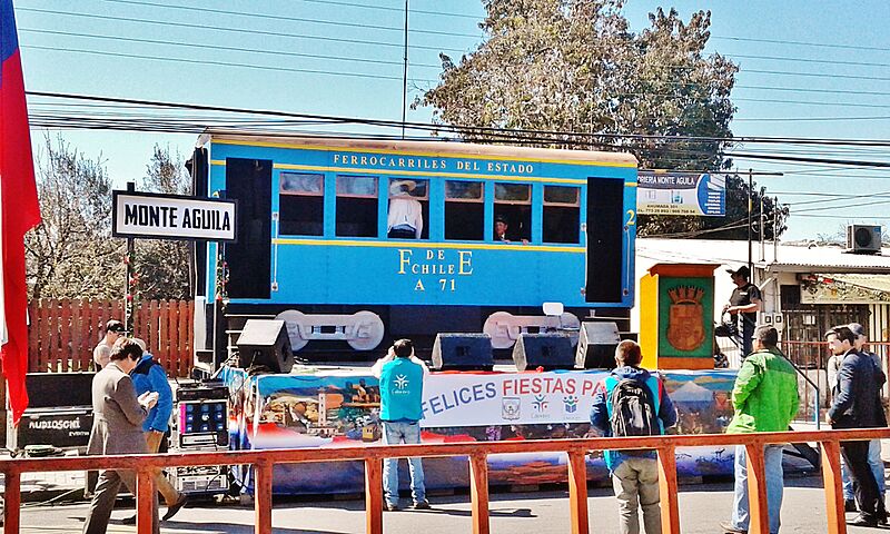 Tren desfile mte aguila