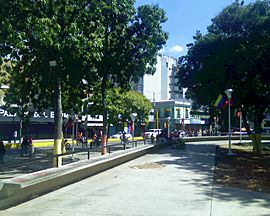 Un buen dia en la Plaza Campo Elias.jpg
