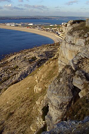 Archivo:West weare from west cliff portland dorset