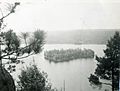 Whitefish Lake Island 1967
