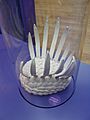 Wiwaxia corrugata model