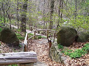 Archivo:Woodland path Wave Hill 1