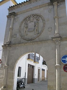 066 Portada del Palacio del Caballerizo Ortega