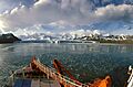 1989 glacier-grytviken hg