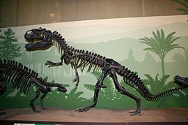 Archivo:9165 - Milano, Museo storia naturale - Allosaurus fragilis - Foto Giovanni Dall'Orto 22-Apr-2007