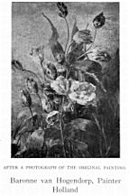 Adrienne Jacqueline s' Jacob barones van Hogendorp - Flower Still Life