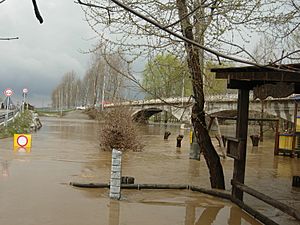 Archivo:Alluvione Cardè 2 Aprile 2009