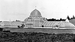 Archivo:Conservatory of Flowers 1879