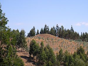 Archivo:Cuel en el valle de Puren