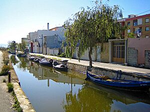 Archivo:El Palmar (València)